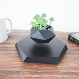 Levitating flower pot